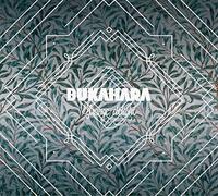 Bukahara - Strange Delight (Lp)