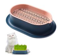Bukezudang Vaso Per Erba Gatta Consente, Ciotole Per Piante Per Erba Di Gatto, Scatola Idroponica Per Erba Gatta, Erba Gatta Semi, Vassoio Semi Germinazione Idroponica, Soil-Free Seed Sprouter