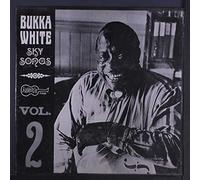 BUKKA WHITE - sky songs, vol. 2 LP