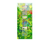 Bulbasaur Ivysaur Venusaur - Cornice da parete per carte protettive Pokémon...