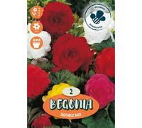 Bulbi da fiore Begonia Double Mix