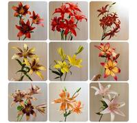 bulbi dei gigli - primaverile resistenti inverno giardino balcone 5pcs