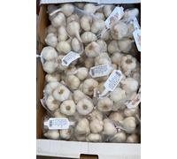 bulbi di aglio bianco da semina 5 kg