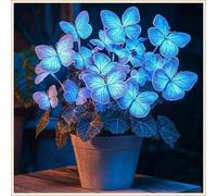 Bulbi di hosta,Radici selezionate di hosta in vaso,Resistenti,Miste,Onvient pour le printemps et l'automne.-6Rizoma-G