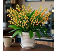 Bulbi di mughetto: verdi tutto l'anno, profumo gradevole, ottimo effetto paesaggistico-15bulbi-C