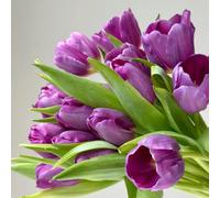 Bulbi di tulipani, decorazioni giardino per esterni per giardinieri resistenti giardini rocciosi estivi ornamentali copertura del terreno balcone 12pcs