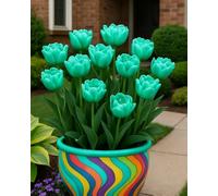 Bulbi di tulipano primavera, varietà classica per balconi, prati e bordure decorative-10bulbi-V