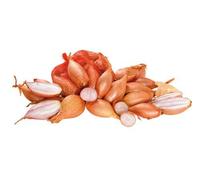BULBI SCALOGNO DA SEMINA calibro 20/40 mm CAT.1 da 500 gr