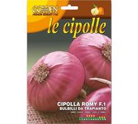 BULBILLI DI CIPOLLA ROMY F.1 500GR DA INTERRARE FRANCHI SEMENTI