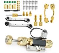 Bulevisiter Strumento di installazione della rimozione del nucleo della valvola con doppia porta da 1/4-5/16 pollici, kit di strumenti per il nucleo della valvola a vuoto, per HVAC R410A R22 R12 R407