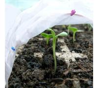 Bulevisiter Telo protettivo antigelo per piante, in tessuto non tessuto, per l'inverno, contro uccelli, grandine e freddo, 1,9 m