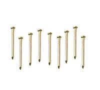 Bulk Hardware BH02287 Chiodo Appendiquadri in Acciaio Temprato a Testa Piatta, Finitura Anodizzata Ottone, Bianco, Set di 100