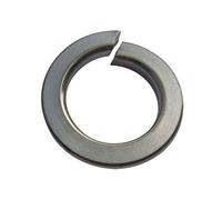 Bulk Hardware BH02475 Rondella Elastica in Acciaio M6, 6 m, Bianco, Set di 30