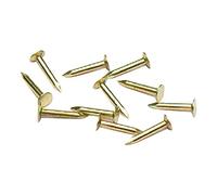 Bulk Hardware BH03485 Chiodini per Cerniere Mini, Finitura Anodizzata Ottone, 10 x 1 mm, Bianco, Set di 100