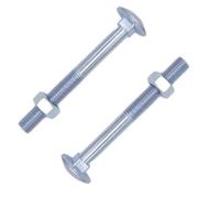Bulk Hardware BH05113 bullone e dado Zp M6 x 65 mm, set di 25 pezzi
