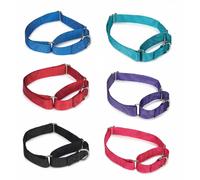 Bulk Lotto Martingala Collari Cane presso All'Ingrosso Prezzi Nylon Multi