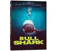 Bull Shark