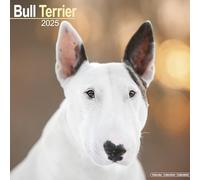 Bull Terrier 2025 Square Wall Calendar | Dog Breed Calendar