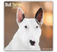 LIbri UK/US Bull Terrier Calendar 2025 Square Dog Breed Wall Calendar - 16 Month