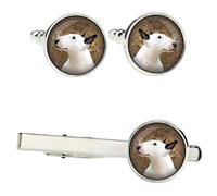 Bull Terrier set di mollette in una scatola con immagine Art-Dog