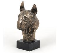 Bull Terrier Testa Sulla Pietra