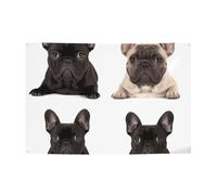 Bulldog francese Banner personalizzato Grandi Banner per Lndoor Segni per feste all'aperto con quattro fori rotondi in metallo banner segno per decorazione festa aziendale