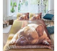 Bulldog francese Microfibra Copripiumino Lenzuola Letto Motivo Per Bambini Adulto Set Biancheria,Matrimoniale Con 3 Pezzi Copripiumino,Anti-acaro Facile Da Curare Double（200x200cm）