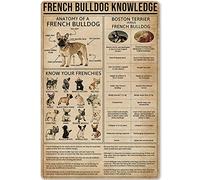 Bulldog francese vintage, poster in metallo e alluminio, con scritta "Come capire il bulldog", decorazione da parete, 8x12 pollici