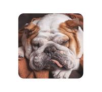 Bulldog inglesi con museruola, animali domestici, cani che dormono, magneti da frigorifero in acrilico, adesivi per lavagna bianca, per la decorazione di cucina e mobili.,Piazza
