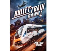 BULLET TRAIN DOWN (DVD) Tom Sizemore Rashod Freelove Zach Gold Lesley Grant