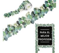 Bulletin Board Border Border 49ft Tropical Borde Border Border Foglie verdi Display Borders for Classoms Cutttable Autodesivo Bulletin Bulletin Board Border per la scuola domestica