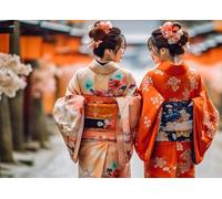 Bullglesup Puzzle per adulti 1000 pezzi, puzzle Kimono con lettera poster sul retro, pezzi unici si adattano bene senza polvere (69,8 x 49,8 cm)