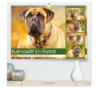 Bullmastiff im Porträt. Kraftvolle Hunde mit sanftem Wesen (hochwertiger Premium Wandkalender 2026 DIN A2 quer), Kunstdruck in Hochglanz: Die ... des Bullmastiffs in natürlichen Szenen