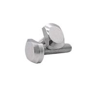 Bullone a T con testa a martello in acciaio inossi Bulloni con testa a T M5 M6 M8 M10 for cava a in acciaio inossidabile 5 pz(M6x20)