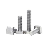 Bullone a T in acciaio inossidabile, Bulloni a forma di T a testa quadrata in acciaio inossidabile 304 A2-70 M4-M12(100mm,M12(1Pcs))
