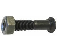 Bullone Ama TSPQST M12x60 mm con Dado - 50 pz Made in Italy