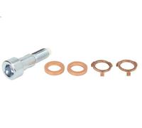 Bullone Banjo, caricatore EVORON EVMK0190 CITROEN DS5 1.6 2012-2015