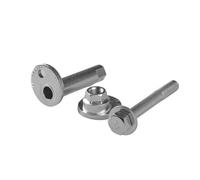 Bullone correzione campanatura Assale post. bilaterale per TOYOTA RAV 4