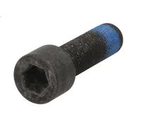 Bullone della puleggia C.E.I 187.757