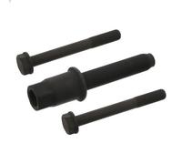 Bullone della puleggia FEBI 33845 BMW 3 (E46) 2 2001-2005