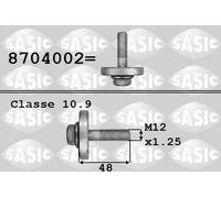 Bullone della puleggia SASIC 8704002 DACIA LOGAN (LS_) 1.4 2006-2012