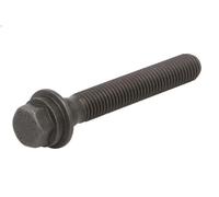 Bullone della puleggia SASIC 8706028