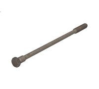 Bullone della testata BF 20080590001
