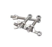 Bullone di unione in acciaio inossidabile 304 + set di dadi a farfalla/vite con foro a occhiello M5M6M8M10(L)