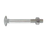 Bullone Friulsider Zincato Testa Tonda T.t.q.s.t.d.e. 10 x 70 100 Pezzi