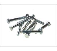 Bullone, impianto di scarico BOSAL 258-855 per SEAT LEON (1M1) 1.6 2000-2006