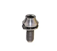 Bullone in titanio M5x12mm che non perde la guarnizione, vite for portapacchi for bicicletta, 1 pz/4 pz(Silver 30PCS,1pcs)
