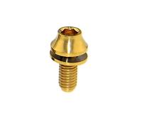 Bullone in titanio M5x12mm che non perde la guarnizione, vite for portapacchi for bicicletta, 1 pz/4 pz(Gold,4pcs)