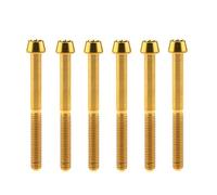 Bullone in titanio M6x10/15/16/18/20/25/30/35/40/45/50/55/60mm Viti a testa conica con esagono incassato Gr5 Confezione da 6(Golden,M6x55mm)