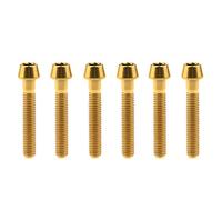 Bullone in titanio M6x10/15/16/18/20/25/30/35/40/45/50/55/60mm Viti a testa conica con esagono incassato Gr5 Confezione da 6(Golden,M6x30mm)